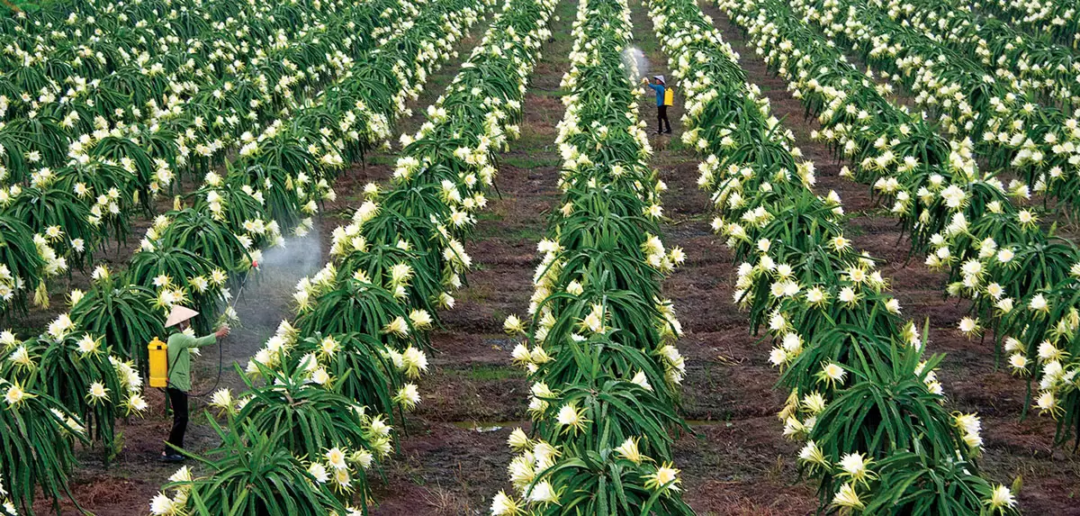 Grab An Lục Long Châu Thành, Grab Xe Máy Lục Long Châu Thành, Grab Xe Ôm Lục Long Châu Thành